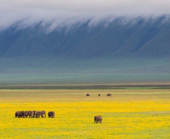 Ngorongoro-crater