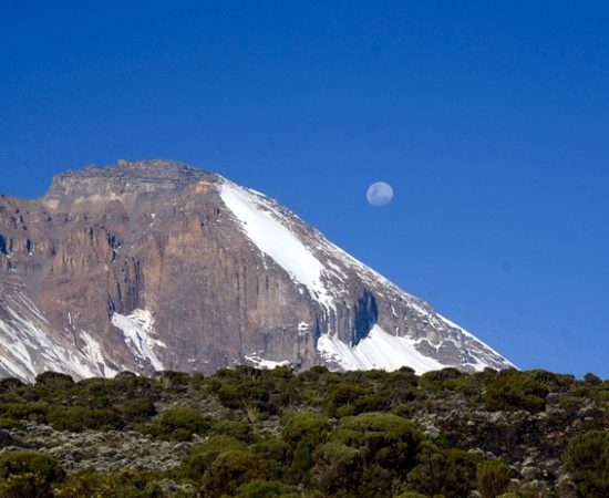 adventures-day-kilimanjaro