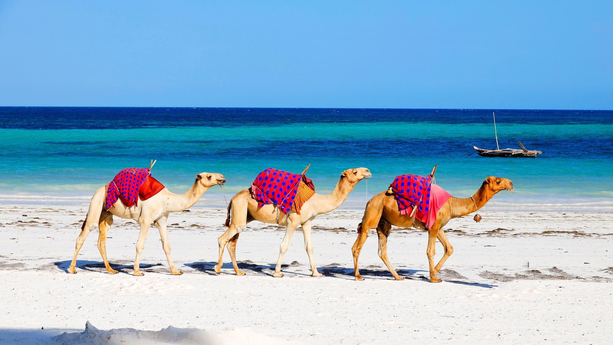 Landscape of Zanzibar Island & Coastal Destinations