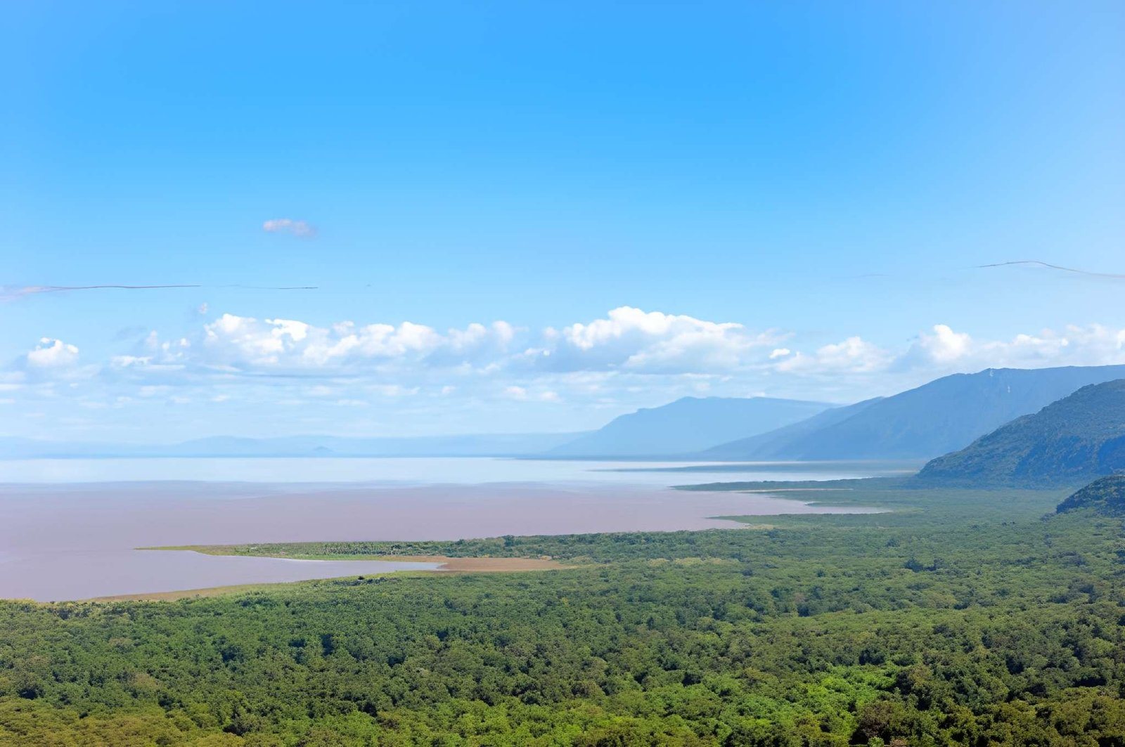 Landscape of Lake Manyara National Park