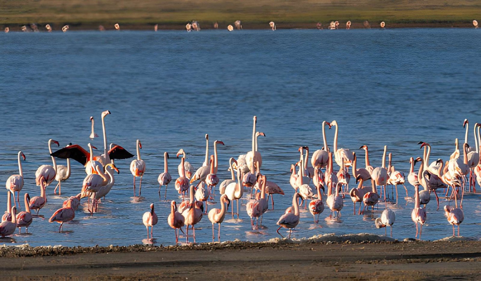 Lake Natron, Tanzania