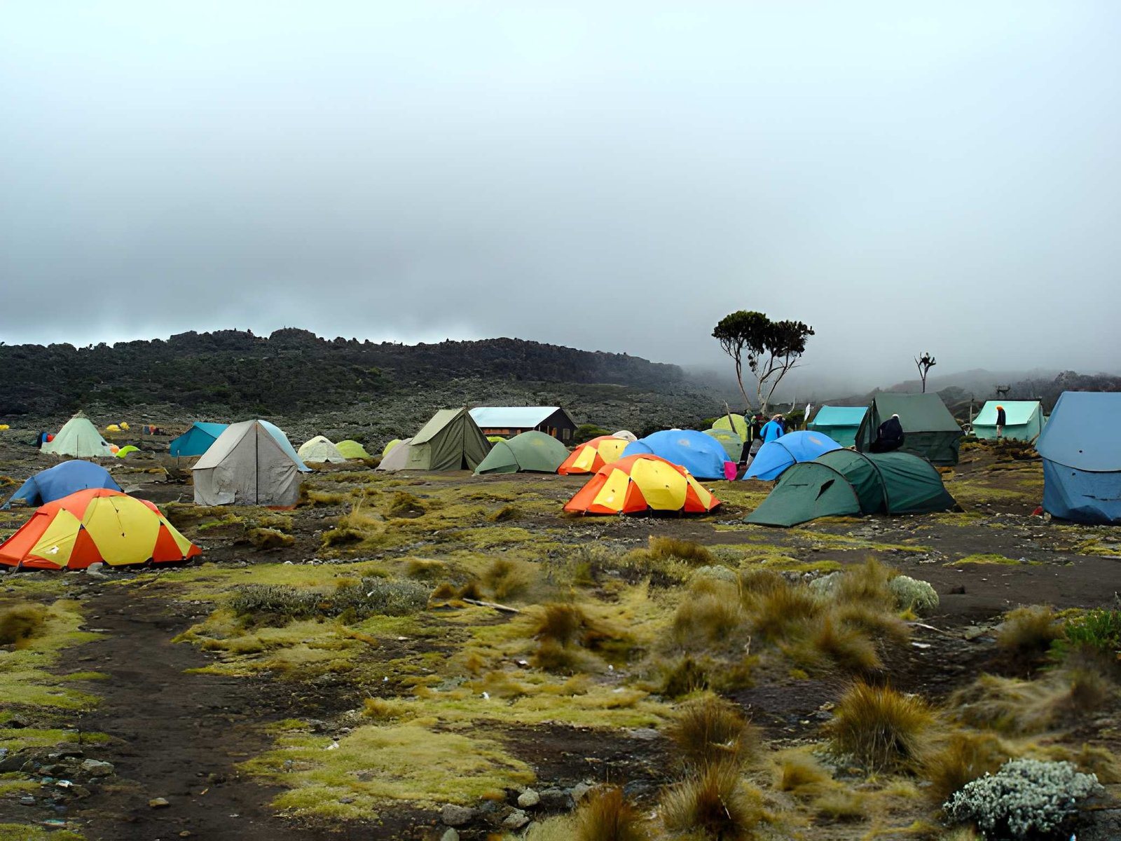 Mt. Kilimanjaro (5)