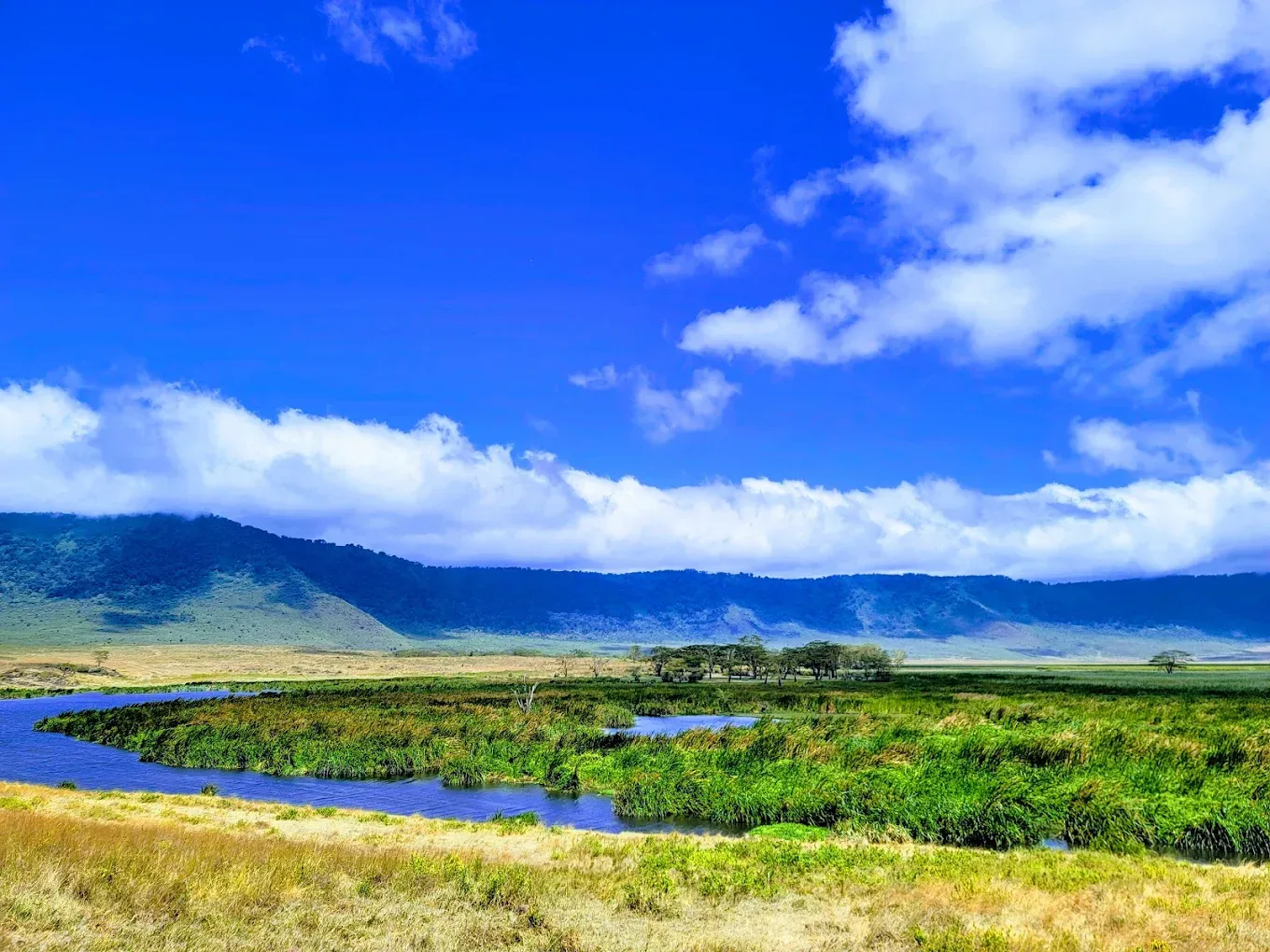 Ngorongoro crater