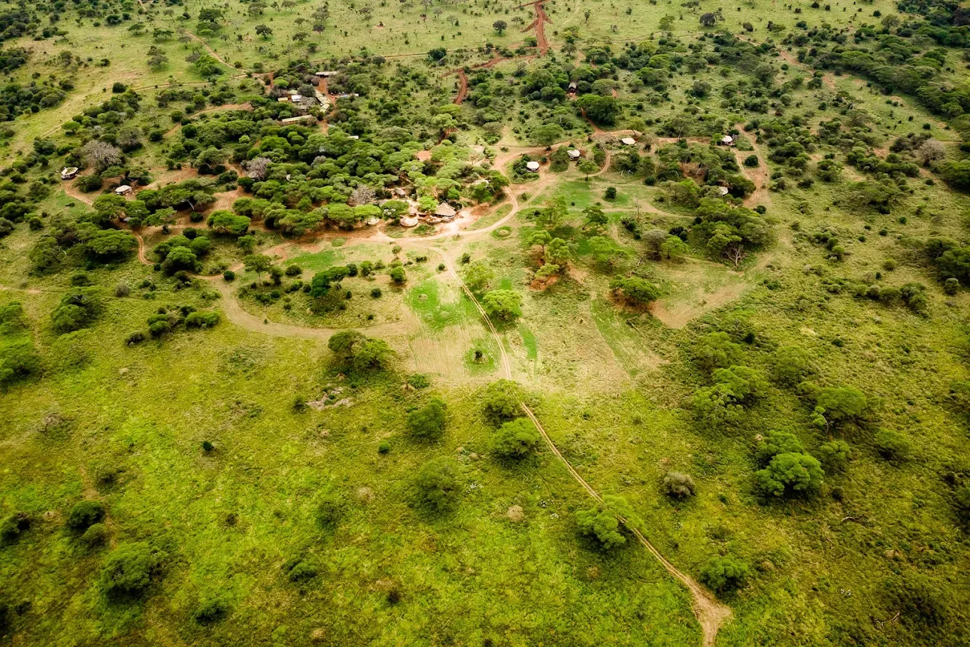 Sanctuary Swala
