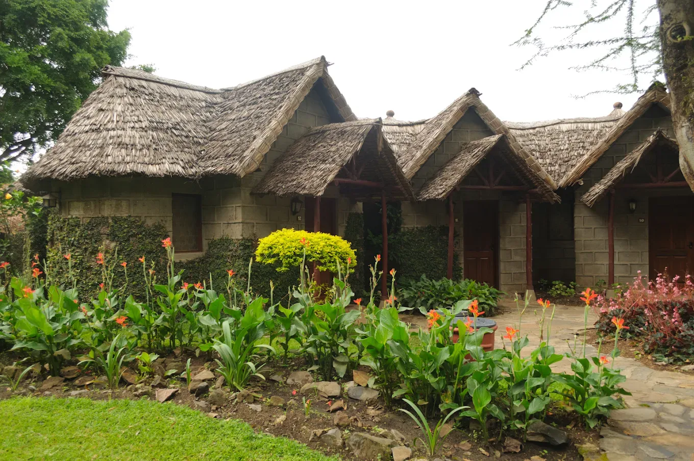 Tarangire Sopa Lodge11